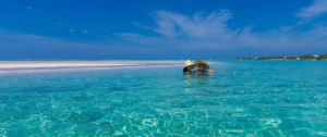 cayman islands 5